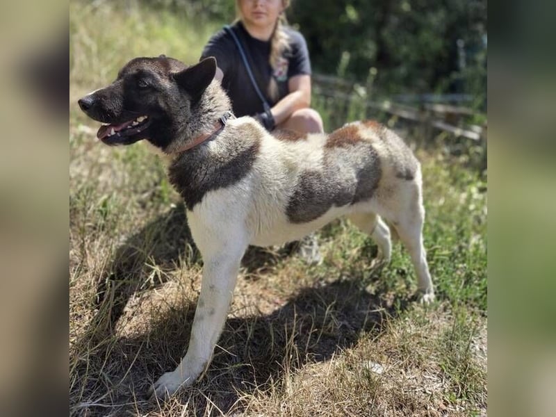 KITA wurde hilflos ausgesetzt