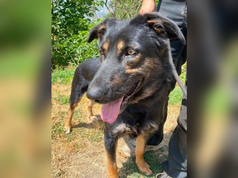 LUNA 2 wäre so gerne Familienmitglied