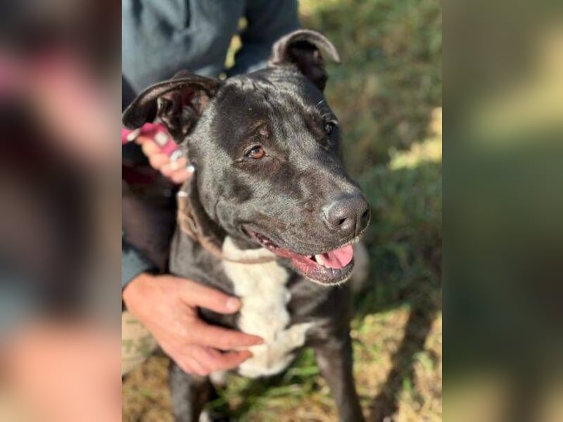 SUNNY sucht seine Menschen