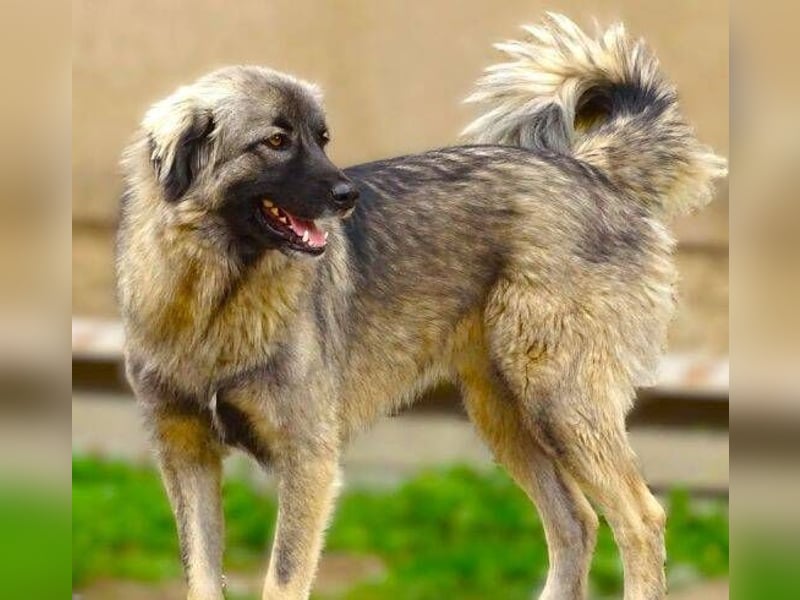 EMMA ist wunderschön