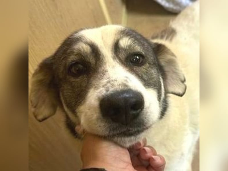 PUFI versteht sich mit allen