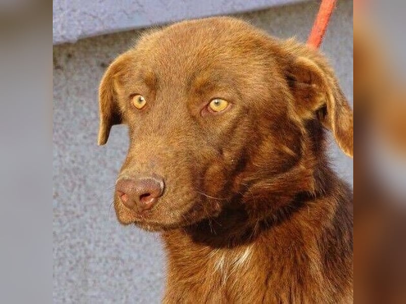 LADO ist ein echter Hingucker