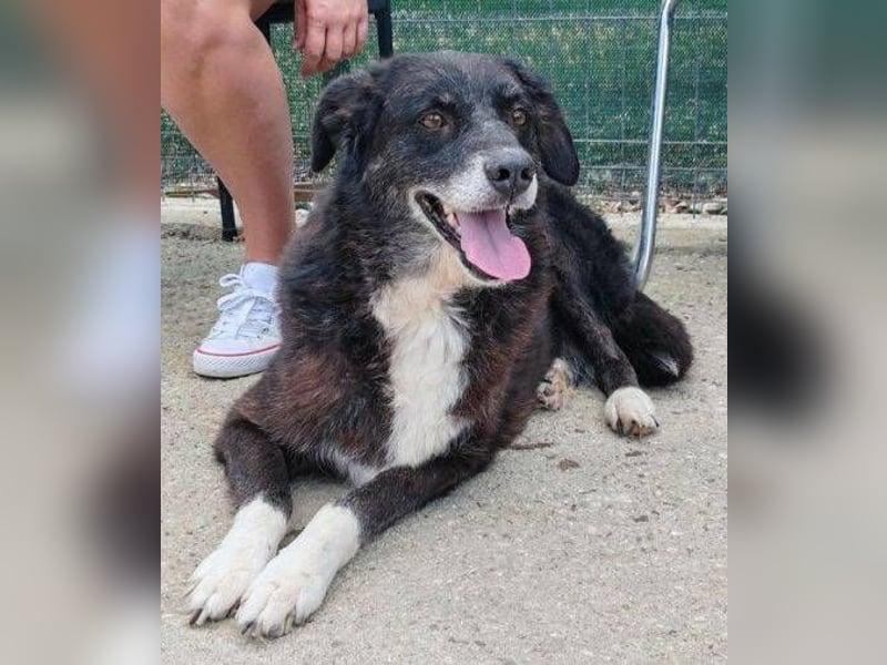 SCARLET sehnt sich so nach Liebe