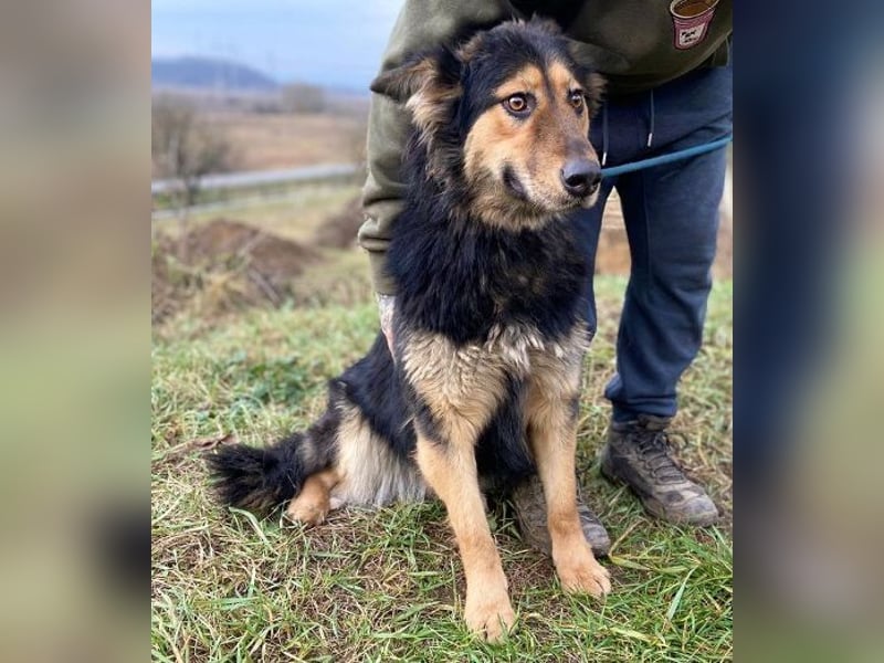 ELZA sucht ihre Familie