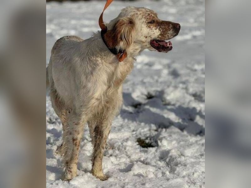 MARK  bildschön, und zu allen sehr lieb