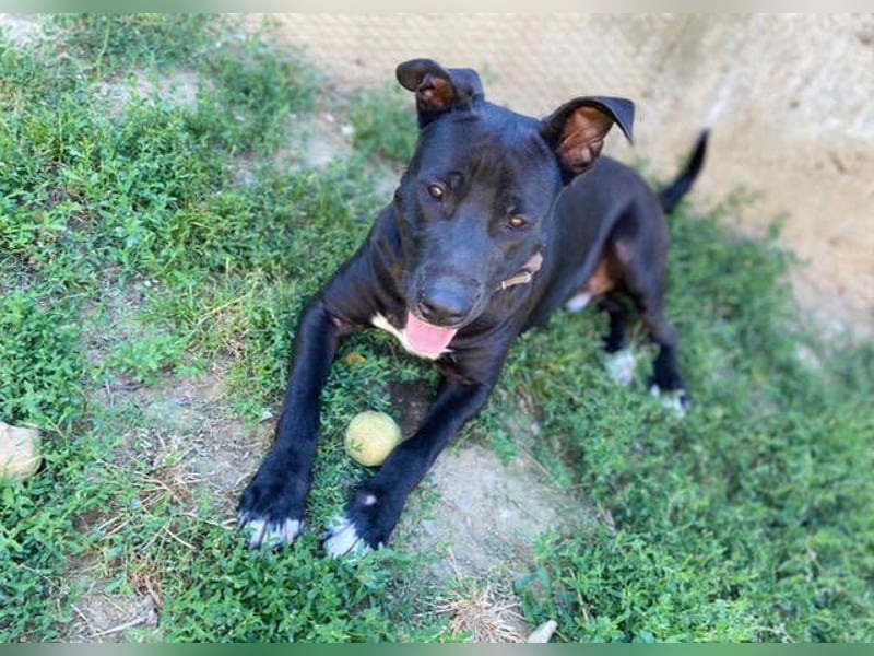 SUNNY sucht seine Menschen