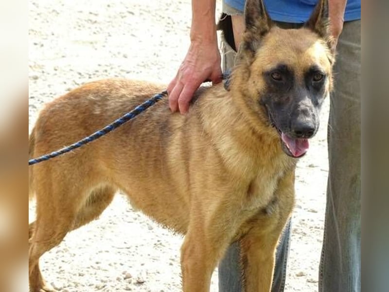 IKE ist ein unkomplizierter Strahlemann