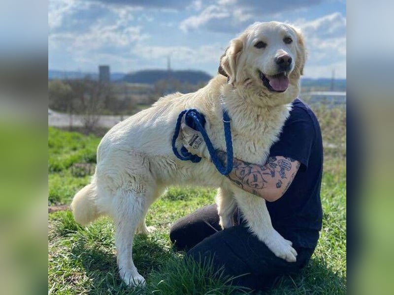 LUCY freut sich über jede Zuwendung
