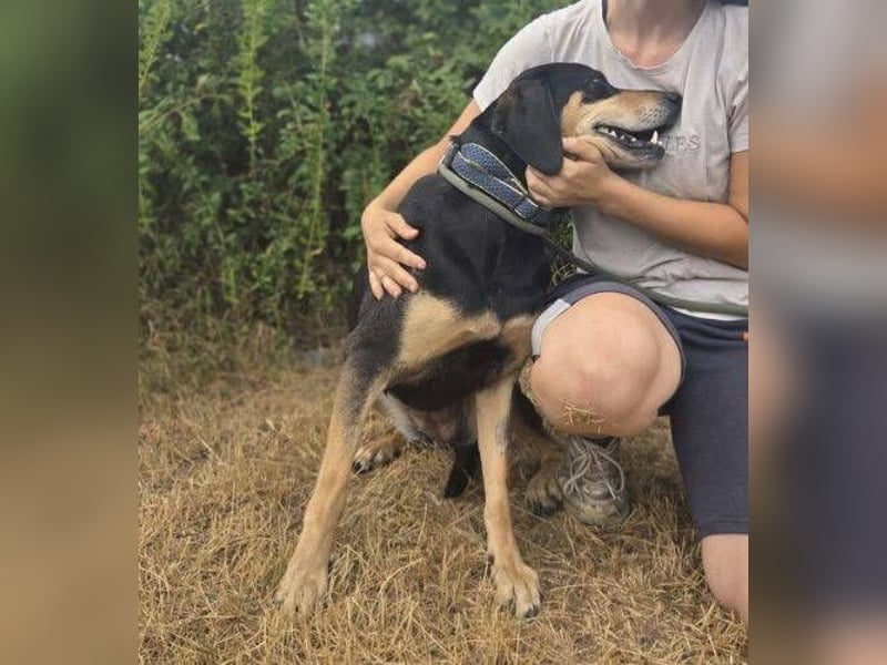 PEPI wünscht sich sehnlichst ein Zuhause