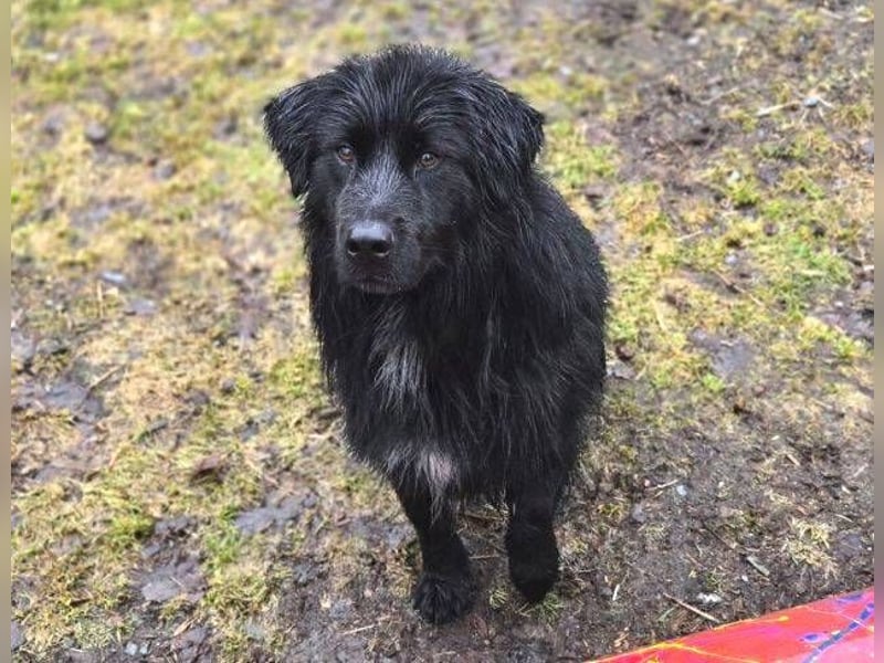 FABIO wäre gerne dein Freund