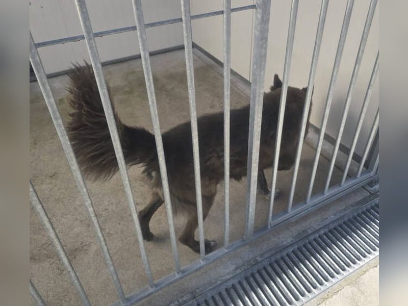 LOBITO muss jeden Tag um sein Leben zittern