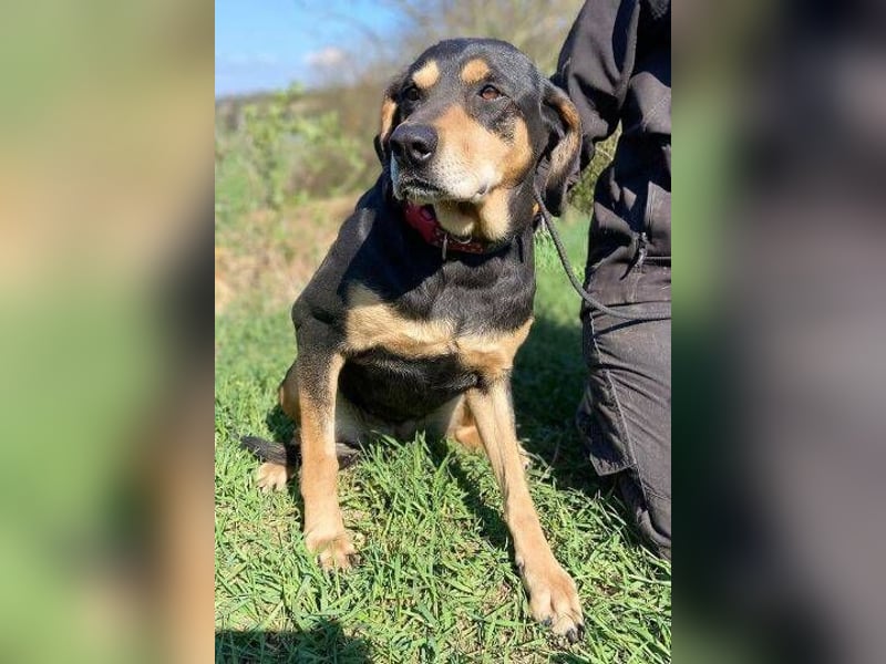 PEPI hat alles verloren