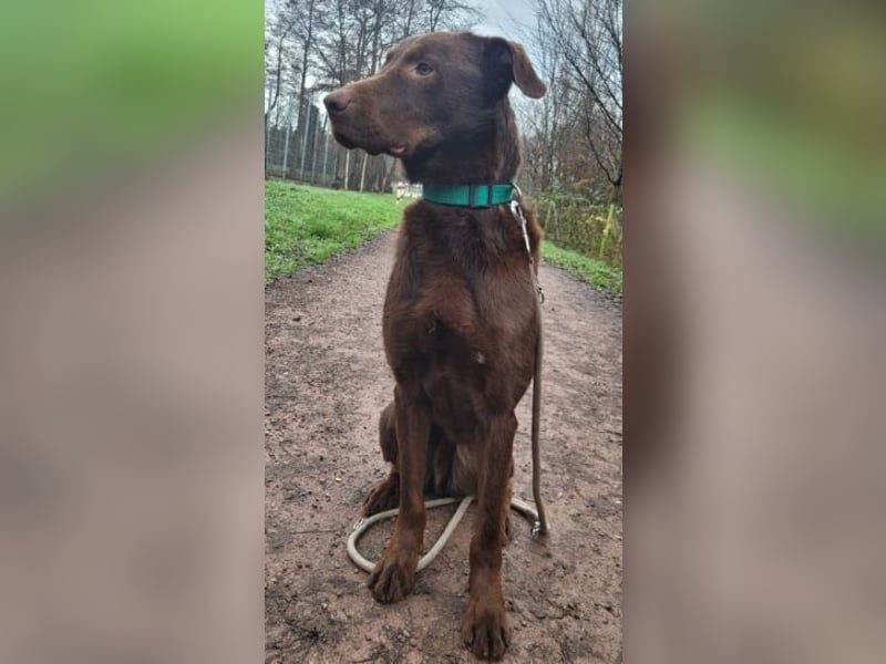 LADO ist ein echter Hingucker