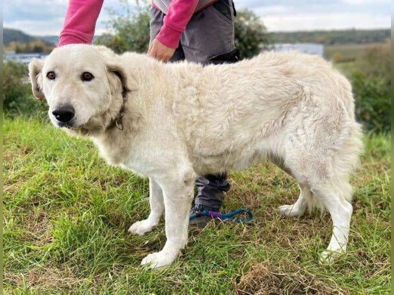 ZUZA  ist traurig, wer tröstet sie?