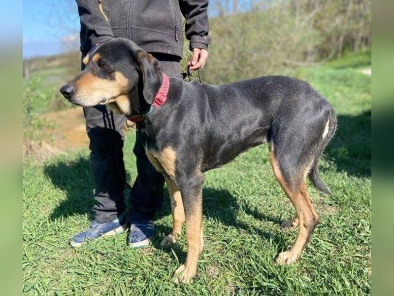 PEPI hat alles verloren