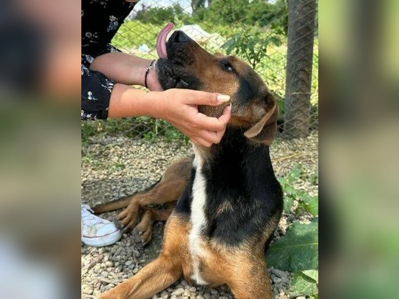 LARISA sitzt an einem trostlosen Shelter