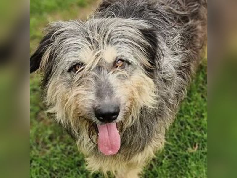 MAYA ist einfach zauberhaft