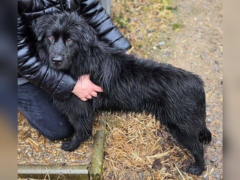 FABIO wäre gerne dein Freund