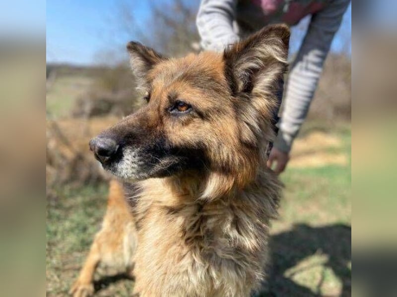 SHIRA hat endlich Liebe verdient