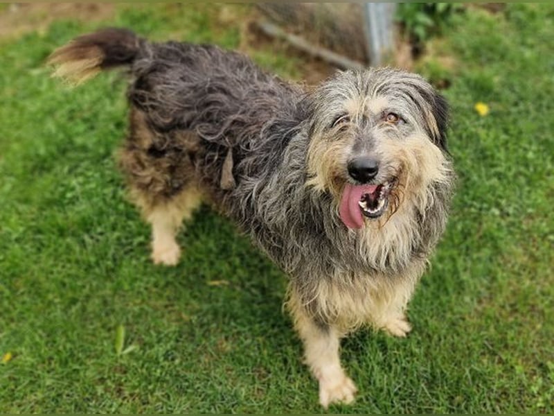 MAYA ist einfach zauberhaft