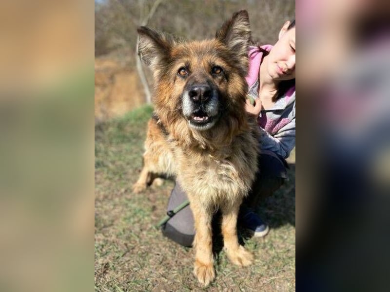 SHIRA hat endlich Liebe verdient