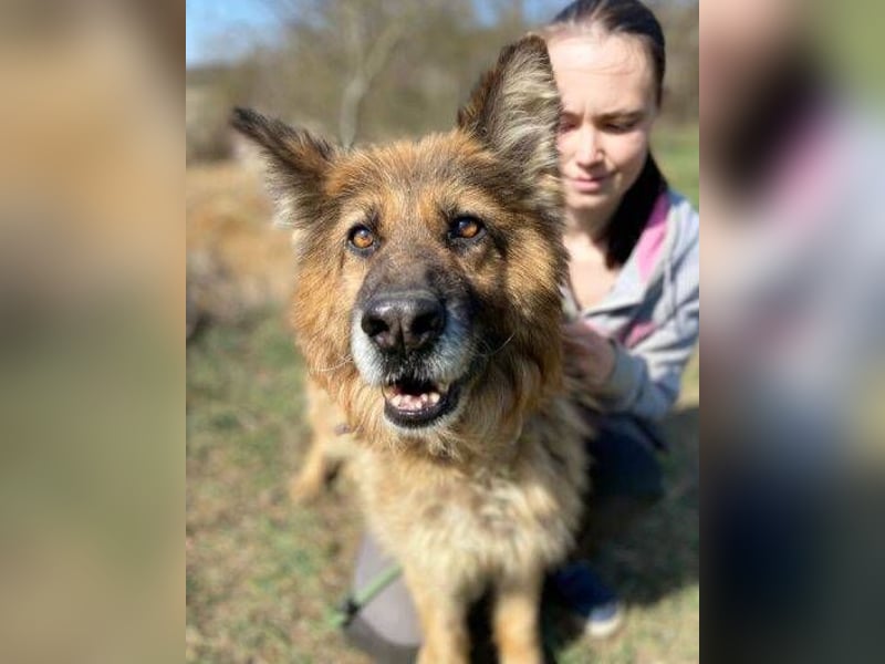 SHIRA hat endlich Liebe verdient