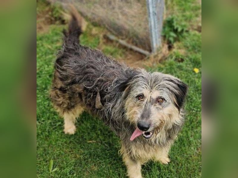 MAYA ist einfach zauberhaft