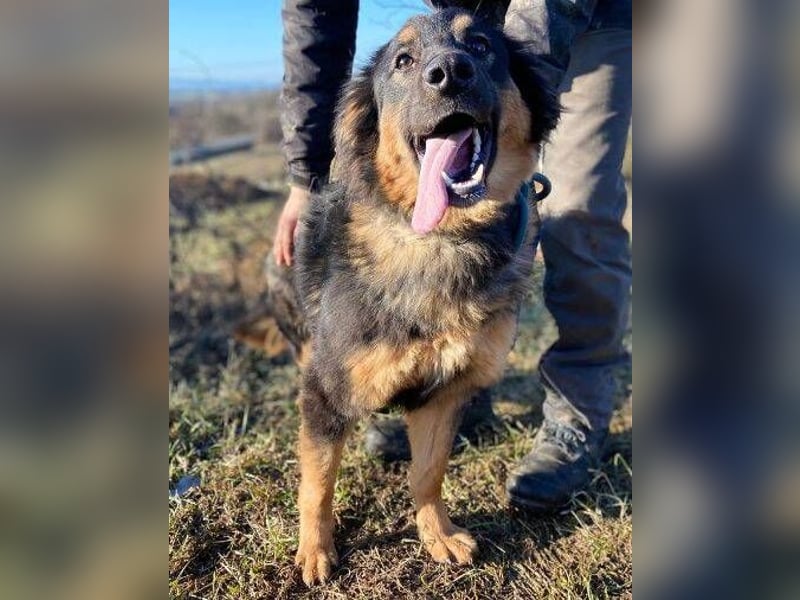 SKY 2 wurde lieblos behandelt