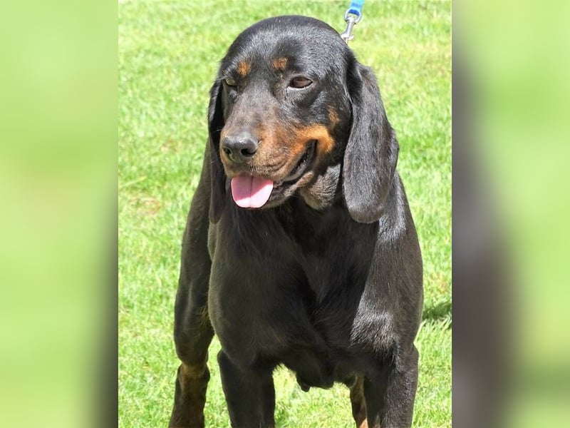 LENA sucht ihre Familie