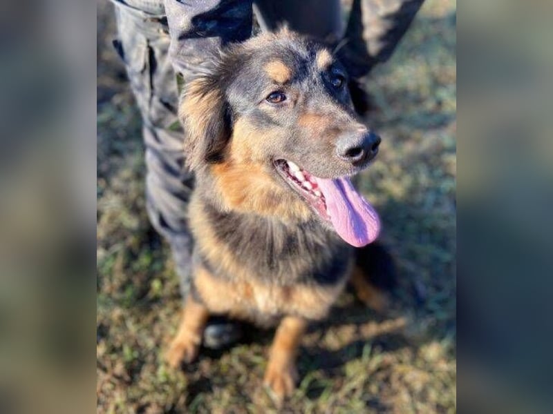 SKY 2 wurde lieblos behandelt