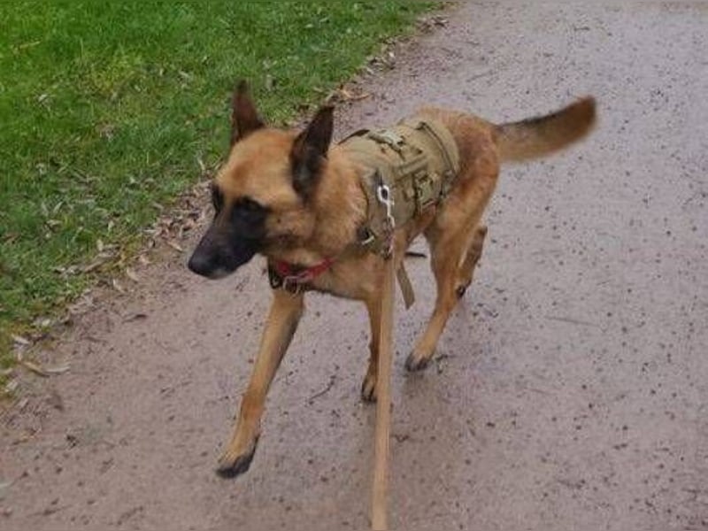 IKE ist ein unkomplizierter Strahlemann