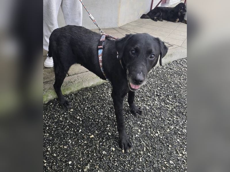 JUNA muss um ihr Leben bangen