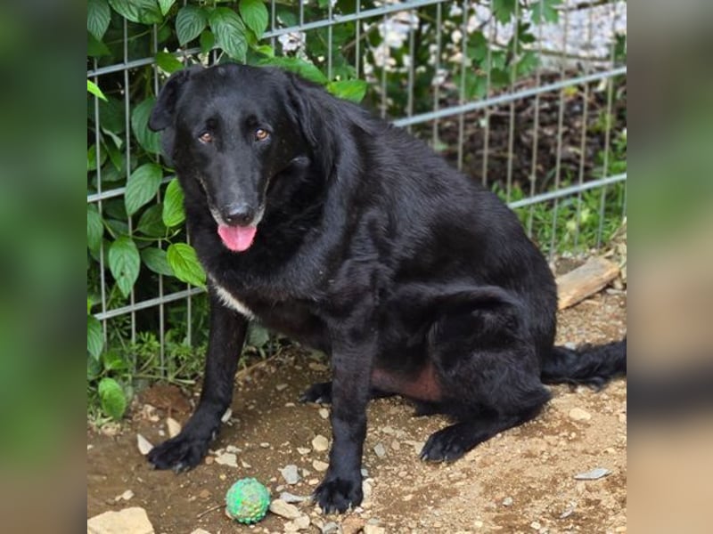 KARAM ist super lieb