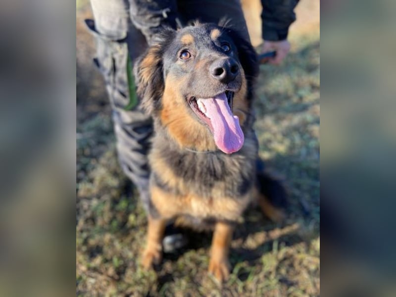 SKY 2 wurde lieblos behandelt