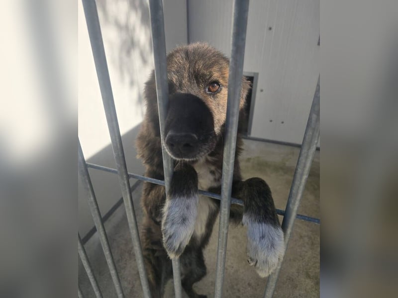 LOBITO muss jeden Tag um sein Leben zittern