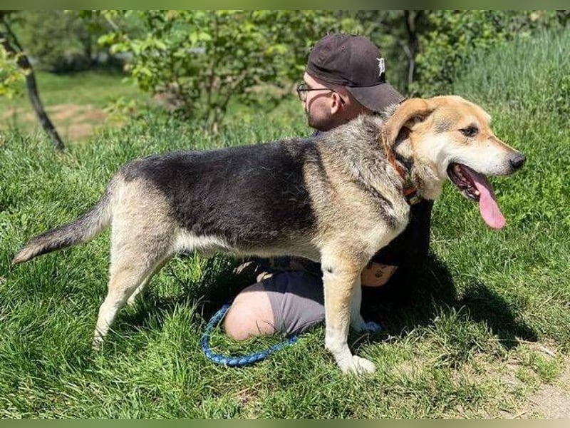 BOBBY 2 wurde hilflos zurück gelassen