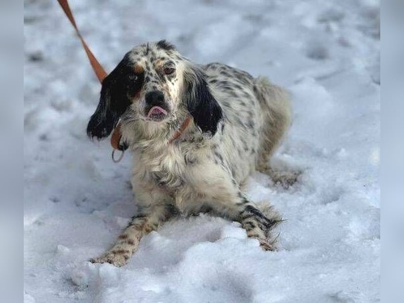 ZEYNA bildschön und sehr lieb