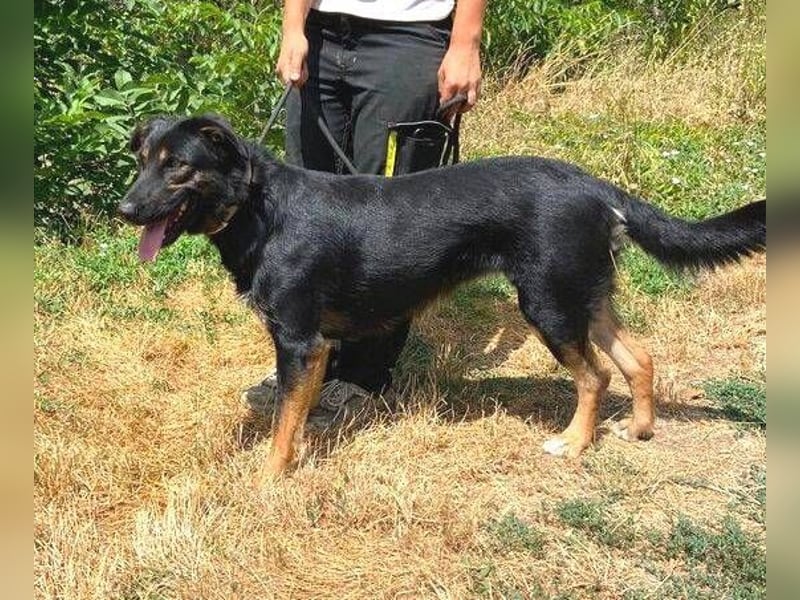 LUNA 2 wäre so gerne Familienmitglied