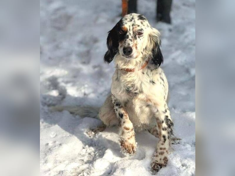 ZEYNA bildschön und sehr lieb