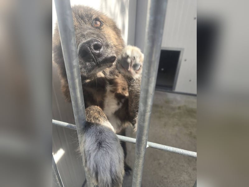 LOBITO muss jeden Tag um sein Leben zittern