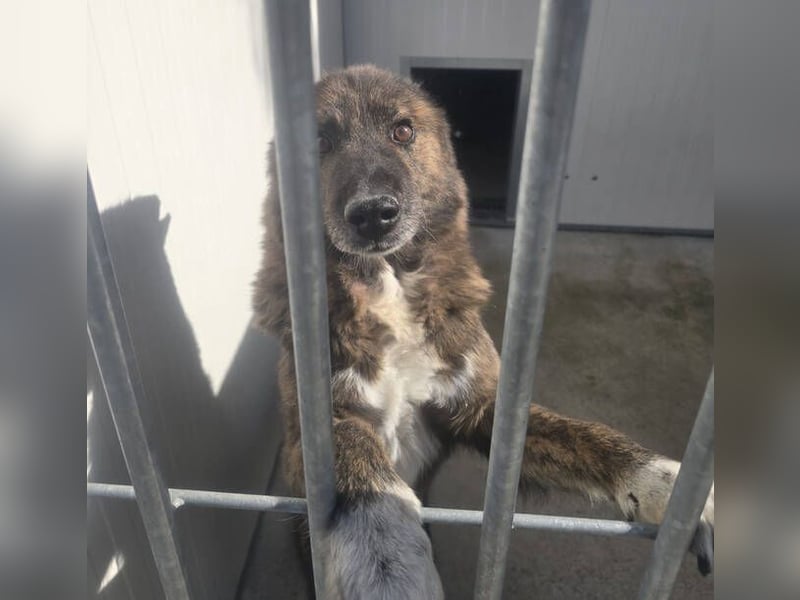 LOBITO muss jeden Tag um sein Leben zittern