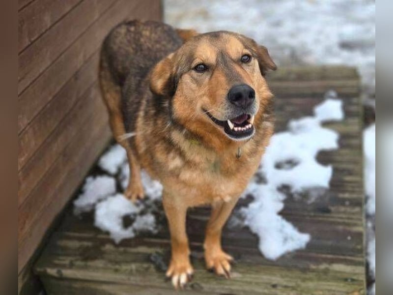 FIDO wurde grausam im Stich gelassen