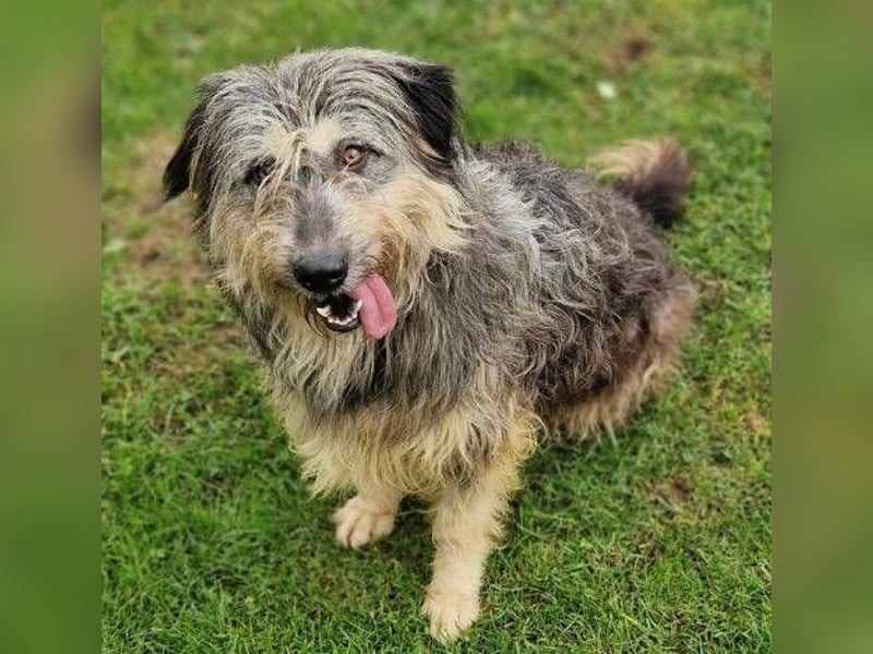 MAYA ist einfach zauberhaft