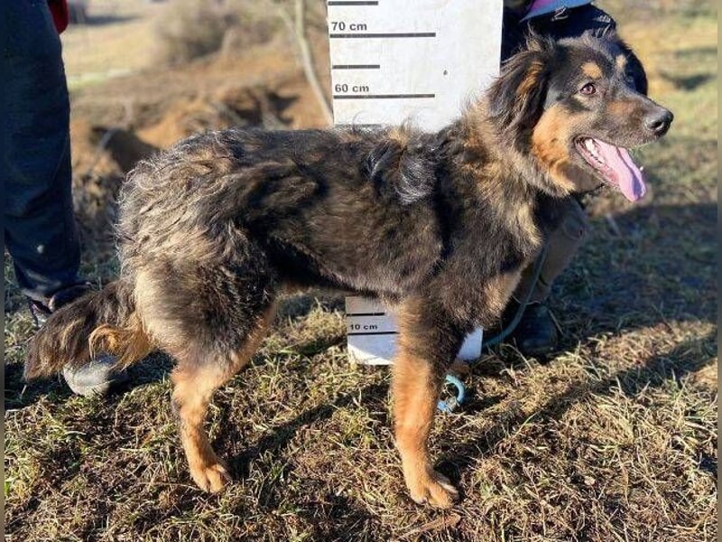 SKY 2 wurde lieblos behandelt