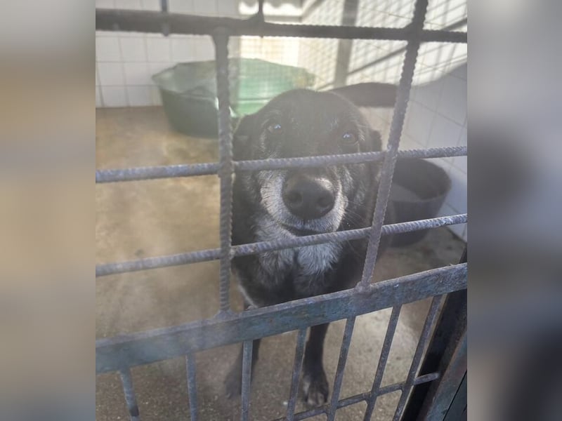 BILLY ist so verzweifelt - wer rettet ihn?