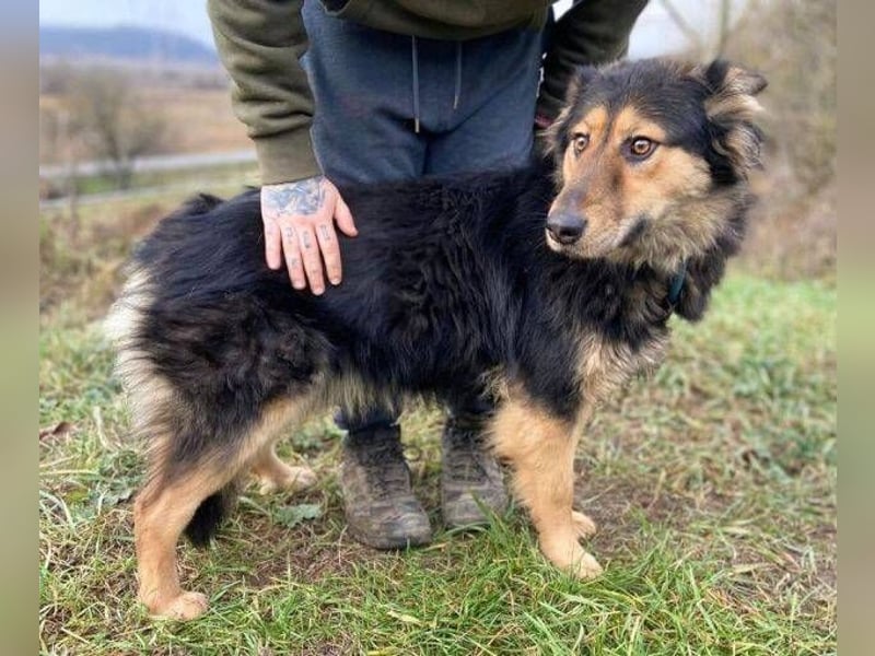 ELZA sucht ihre Familie