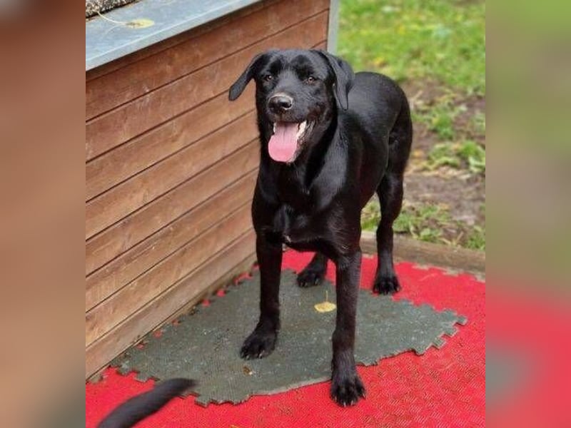 OTTO 2 sucht seine Menschen