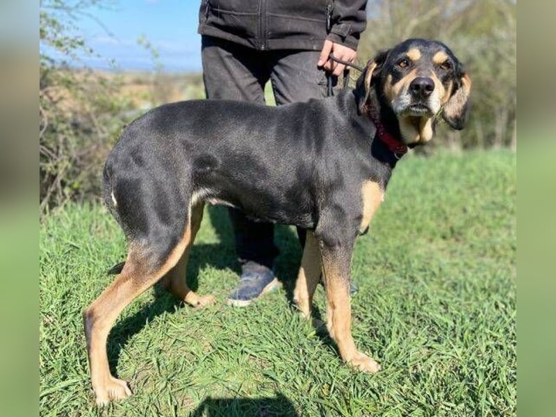 PEPI hat alles verloren