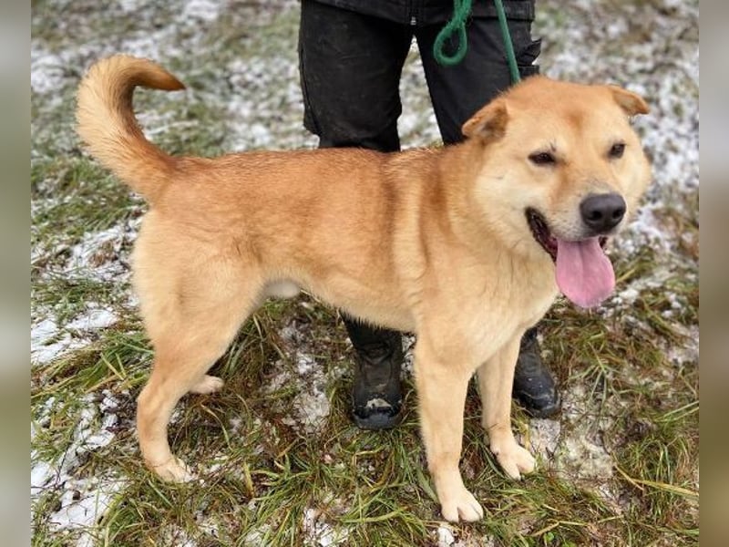 AKIM wartet auf Dich AKIM wartet auf Dich