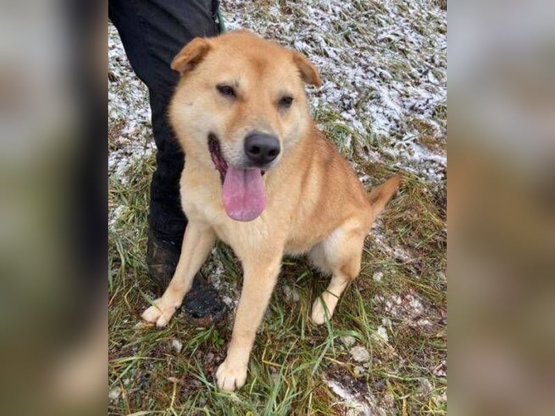 AKIM wartet auf Dich AKIM wartet auf Dich